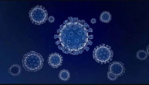 任澤平對話尹燁 生命科技、生物技術(shù)與健康長壽的未來前景